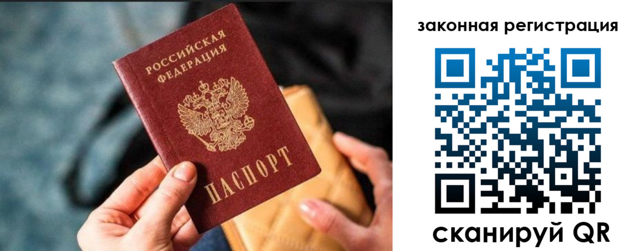 временная регистрация гарантия в Лесном
